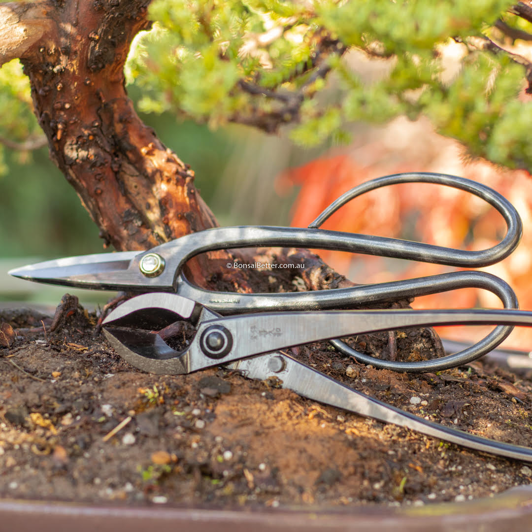 Professional Bonsai Tools made in Japan | Bonsai Better