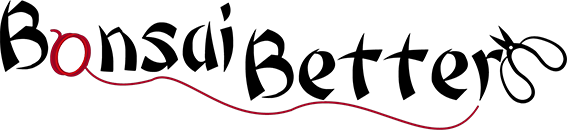 Ryuga