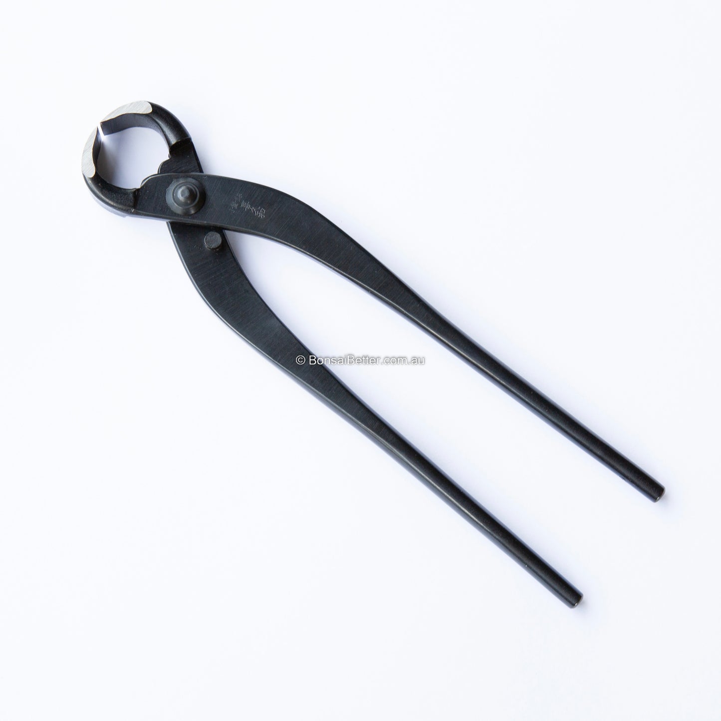 Kikuwa Carbon Steel Root Cutters