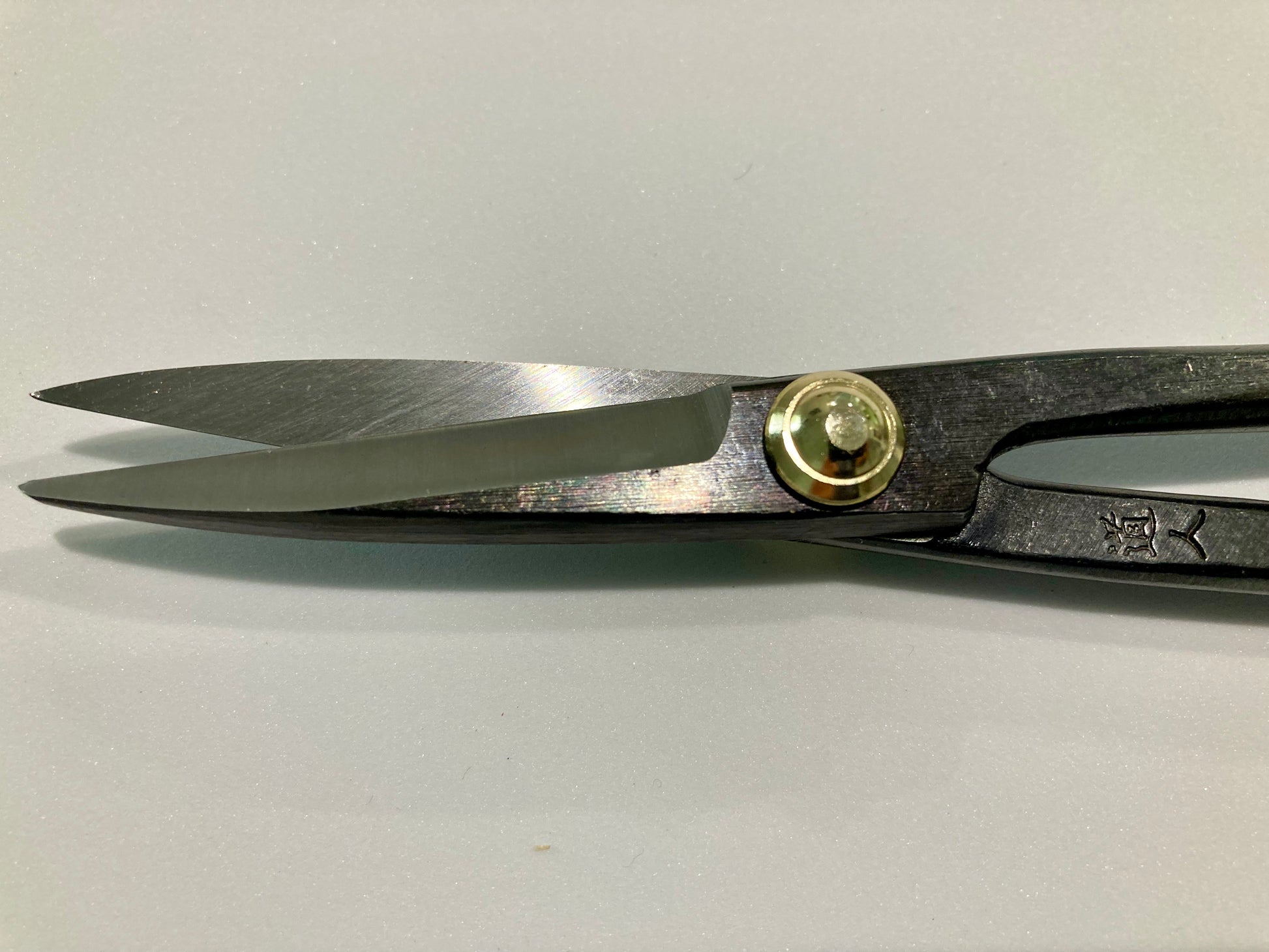 Kikuwa Carbon Steel Bonsai Scissors 210mm | Bonsai Better