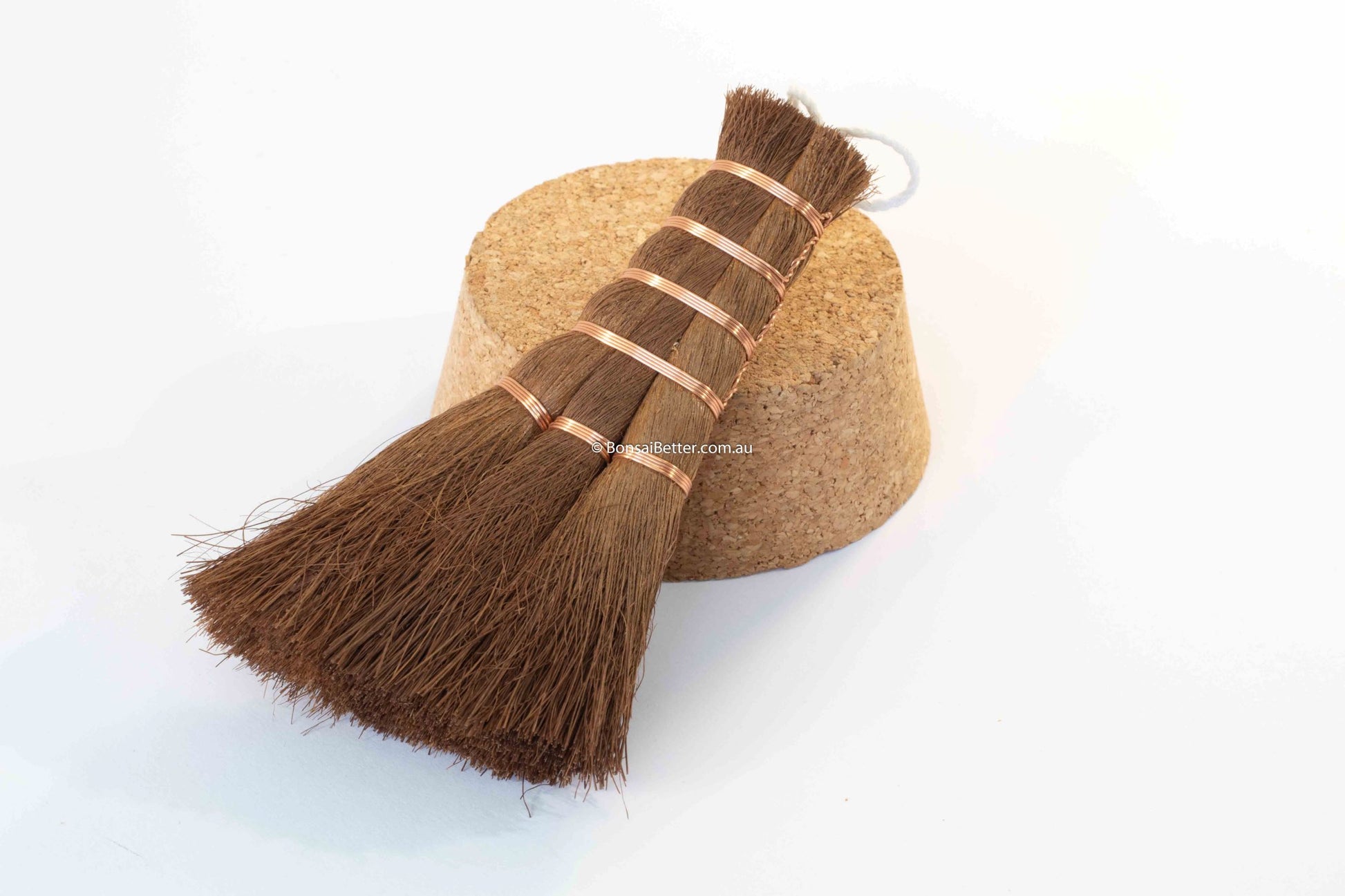 Japanese Bonsai Broom 125mm Kikuwa | Bonsai Better