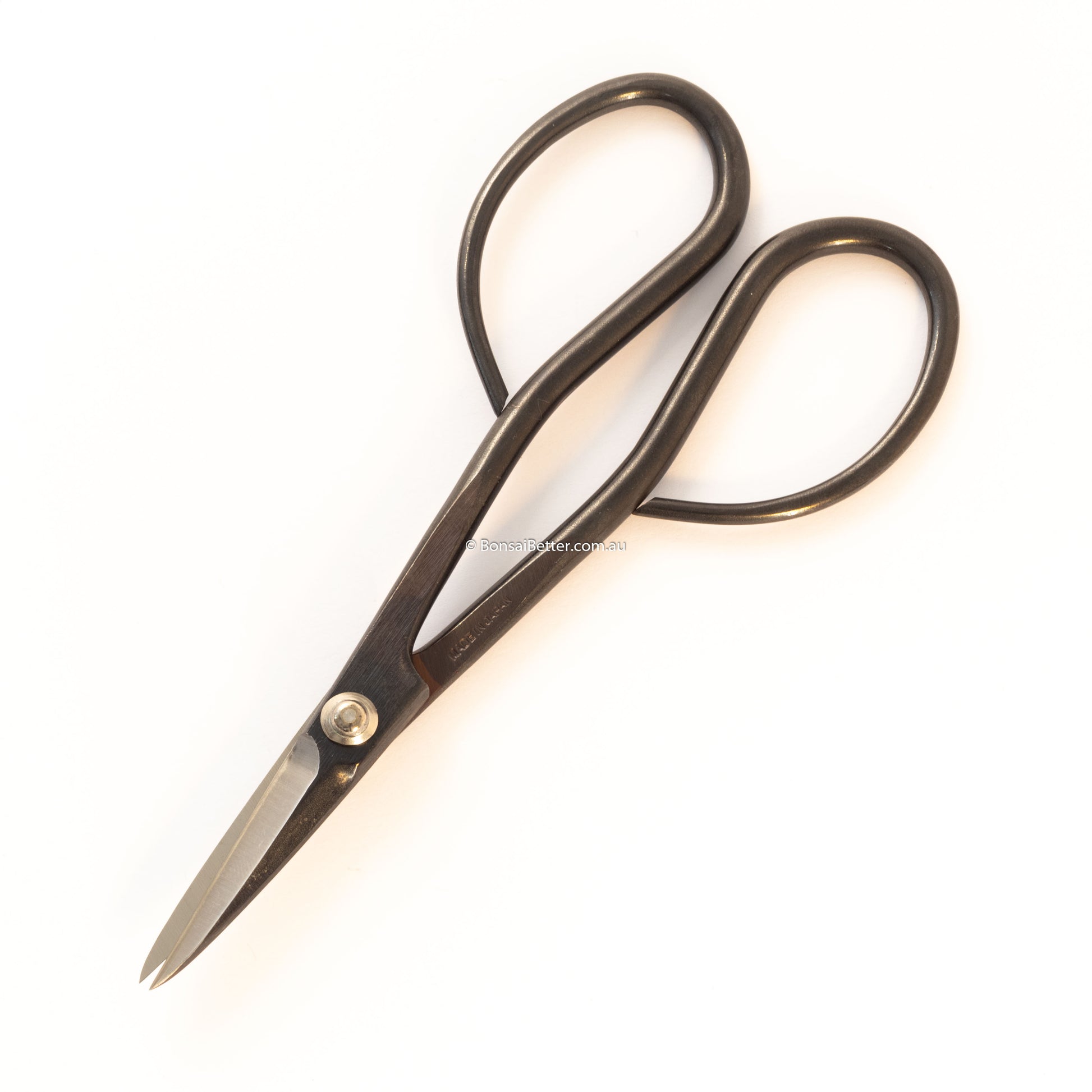 Kikuwa Japanese Bonsai Scissors | Bonsai Better