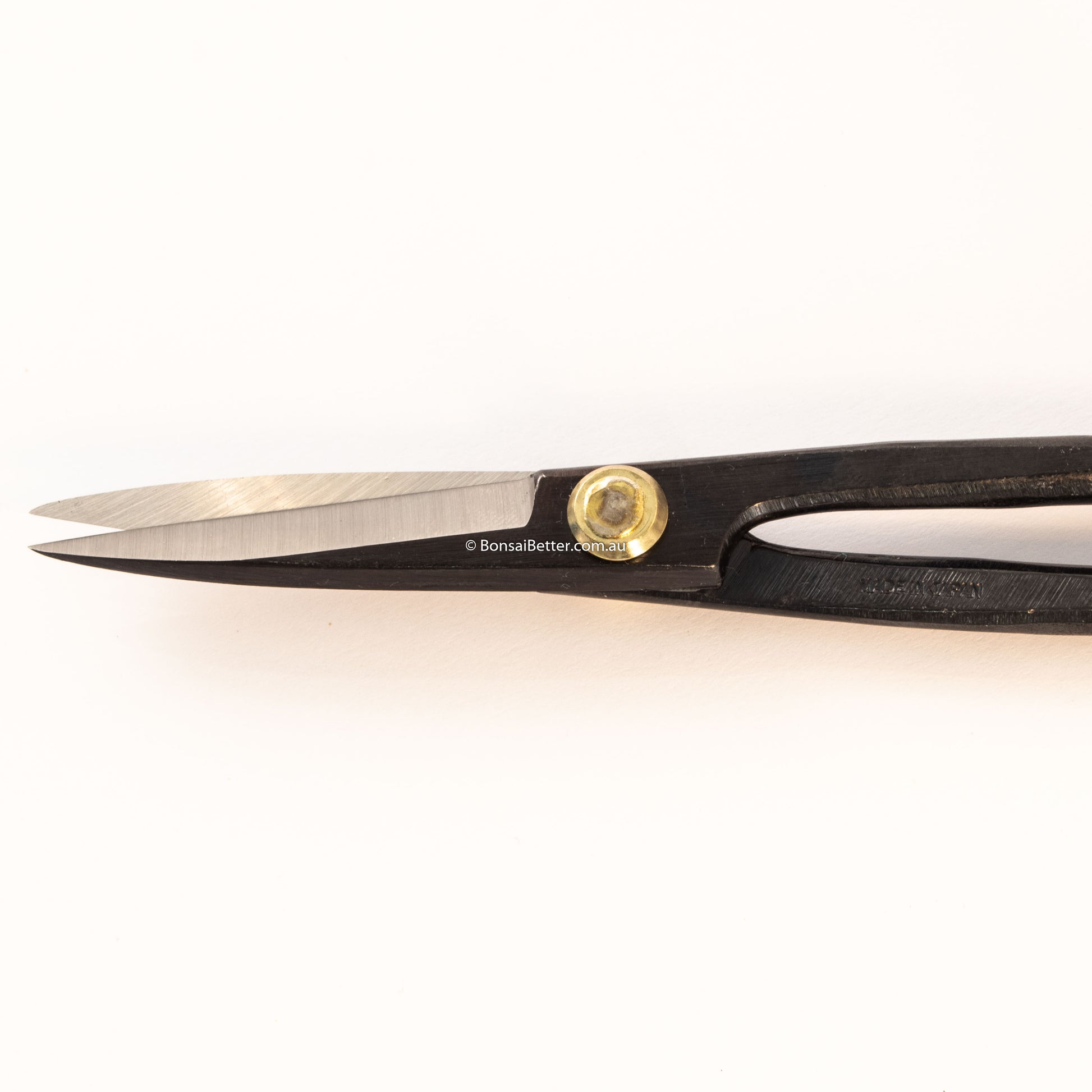 Kikuwa Scissors 210mm | Japan Made | Bonsai Better