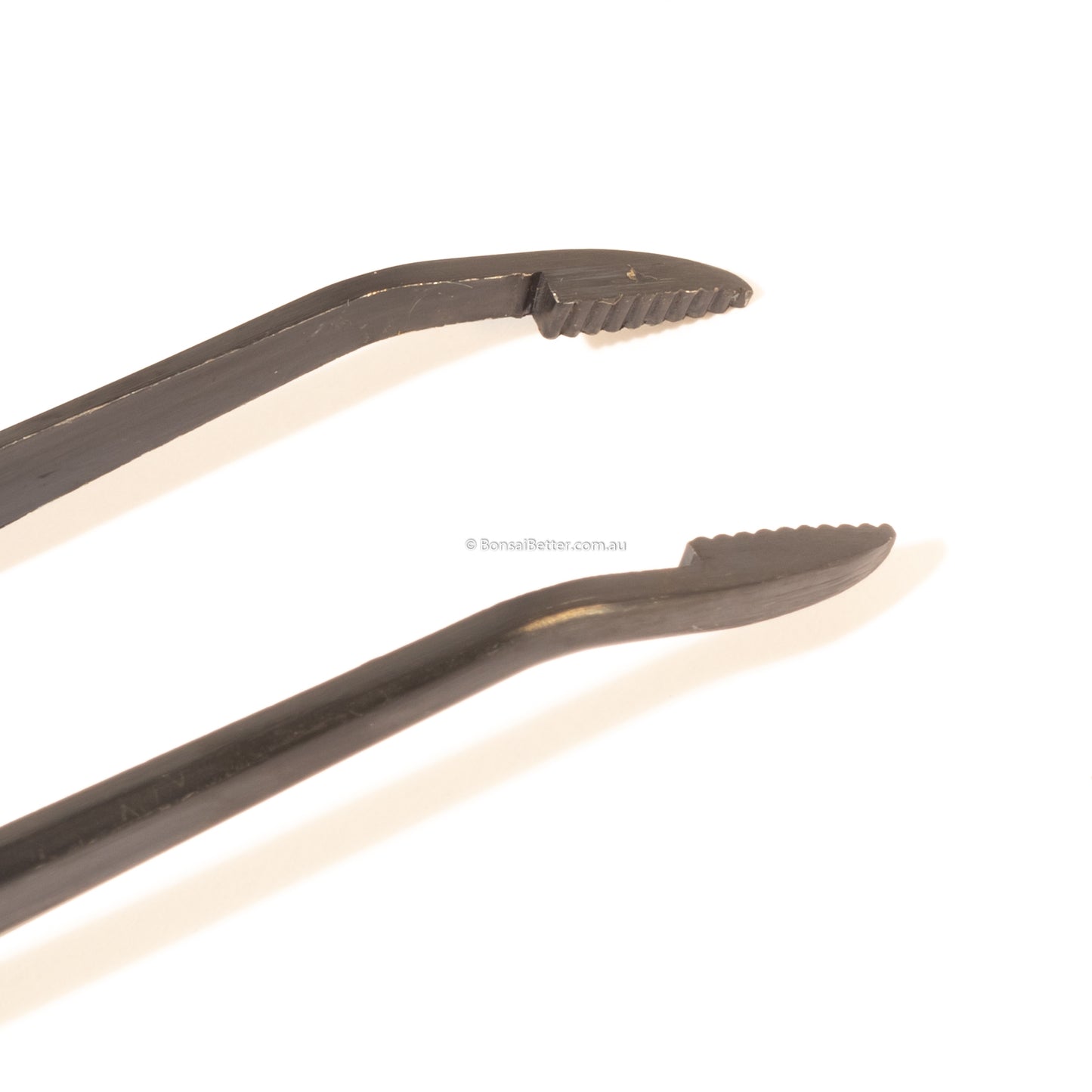 Japanese Pine Needle Tweezers | Bonsai Better