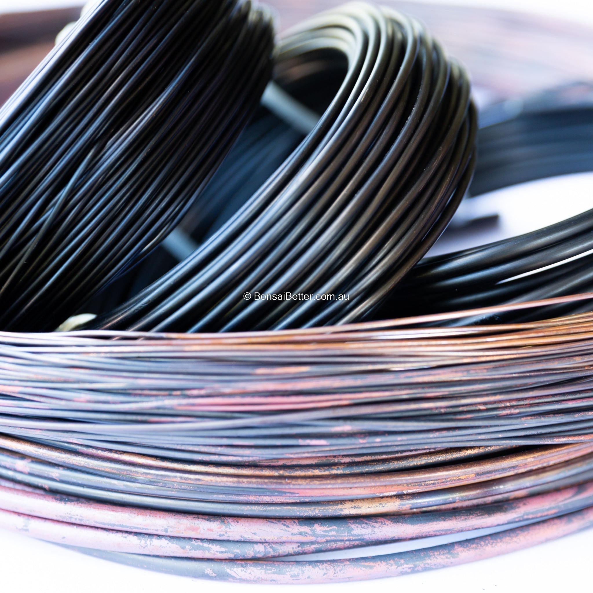 Annealed copper and anodised aluminium bonsai wire | Bonsai Better