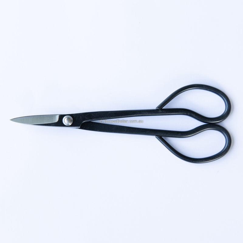 Bonsai Scissors & Shears | Professional Pruning Tools