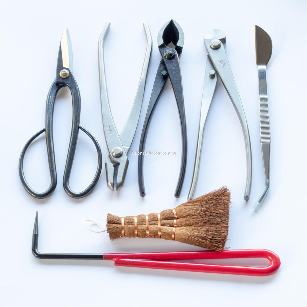 Professional Bonsai Tools Kits | Bonsai Better