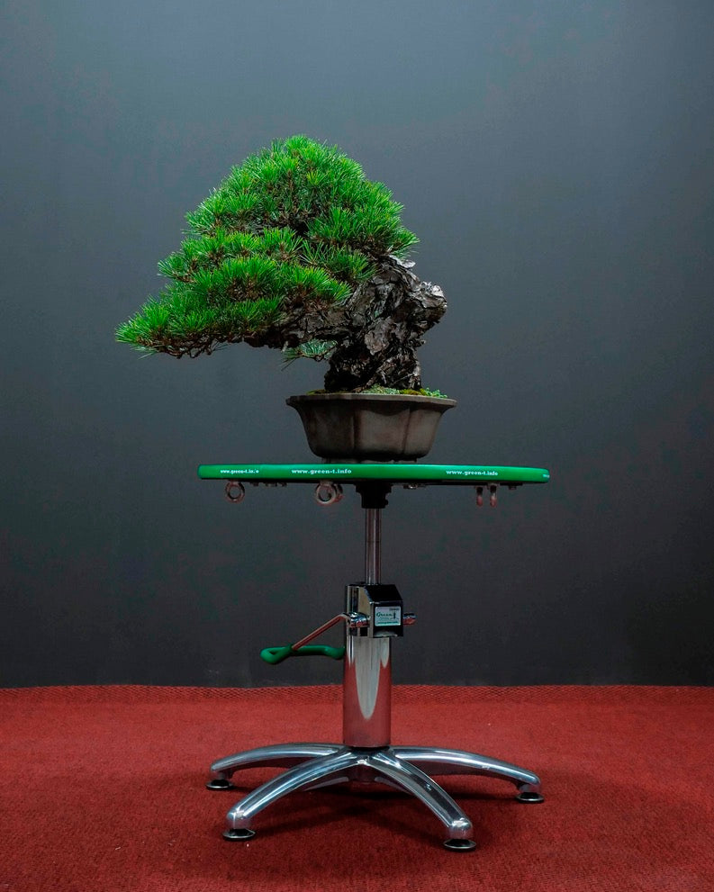 Green-T Hydraulic Lift Bonsai Turntable