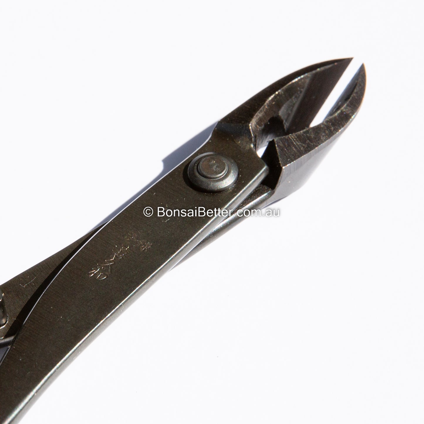 Bonsai Branch Cutter narrow tip | Bonsai Better