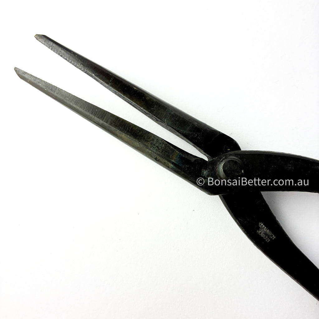 Bonsai Tapered Pliers |Bonsai Better
