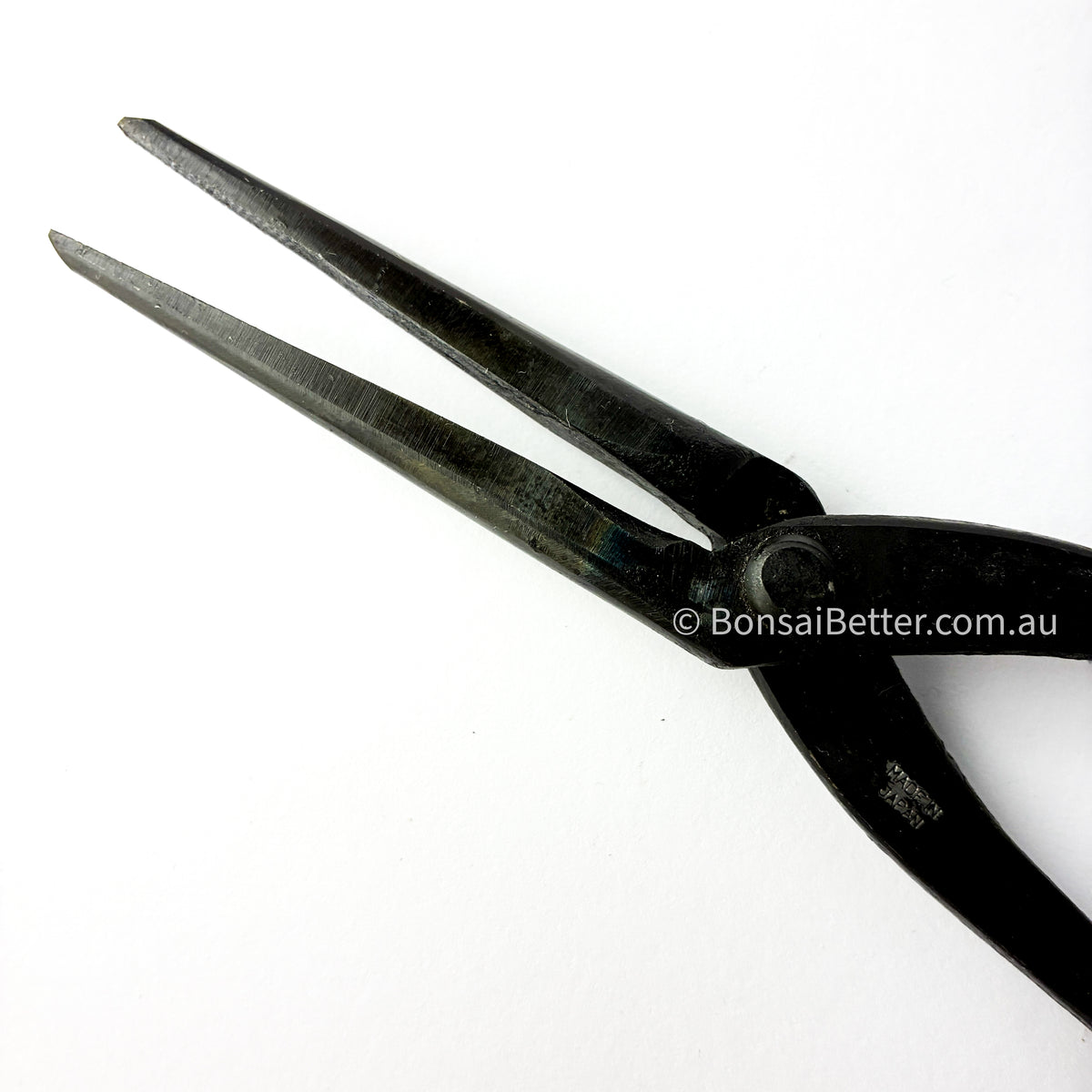 Bonsai Tapered Pliers |Bonsai Better