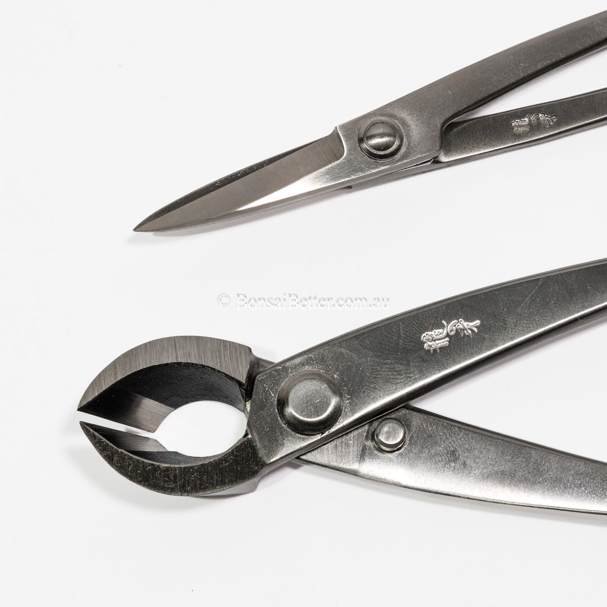 Close Up Bonsai Tool Kit – 2-Piece Stainless Steel Branch Cutter & Scissors Set