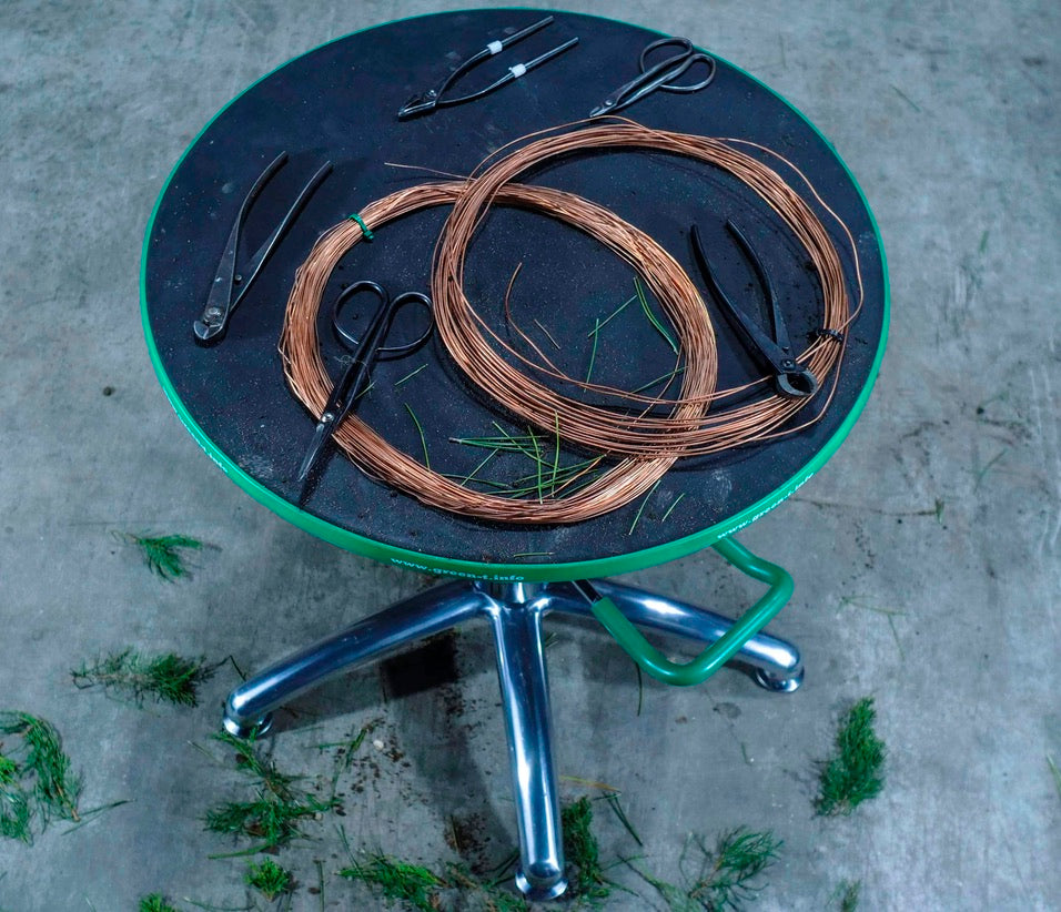 Green-T Hydraulic Lift Bonsai Turntable at work