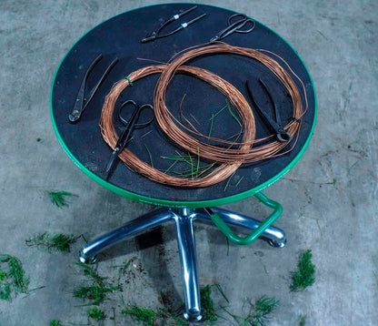 Green-T Hydraulic Lift Bonsai Turntable at work