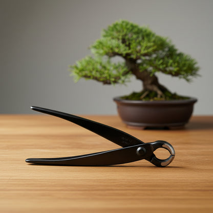 Japanese Bonsai Knob Cutters 150mm |onsai Better