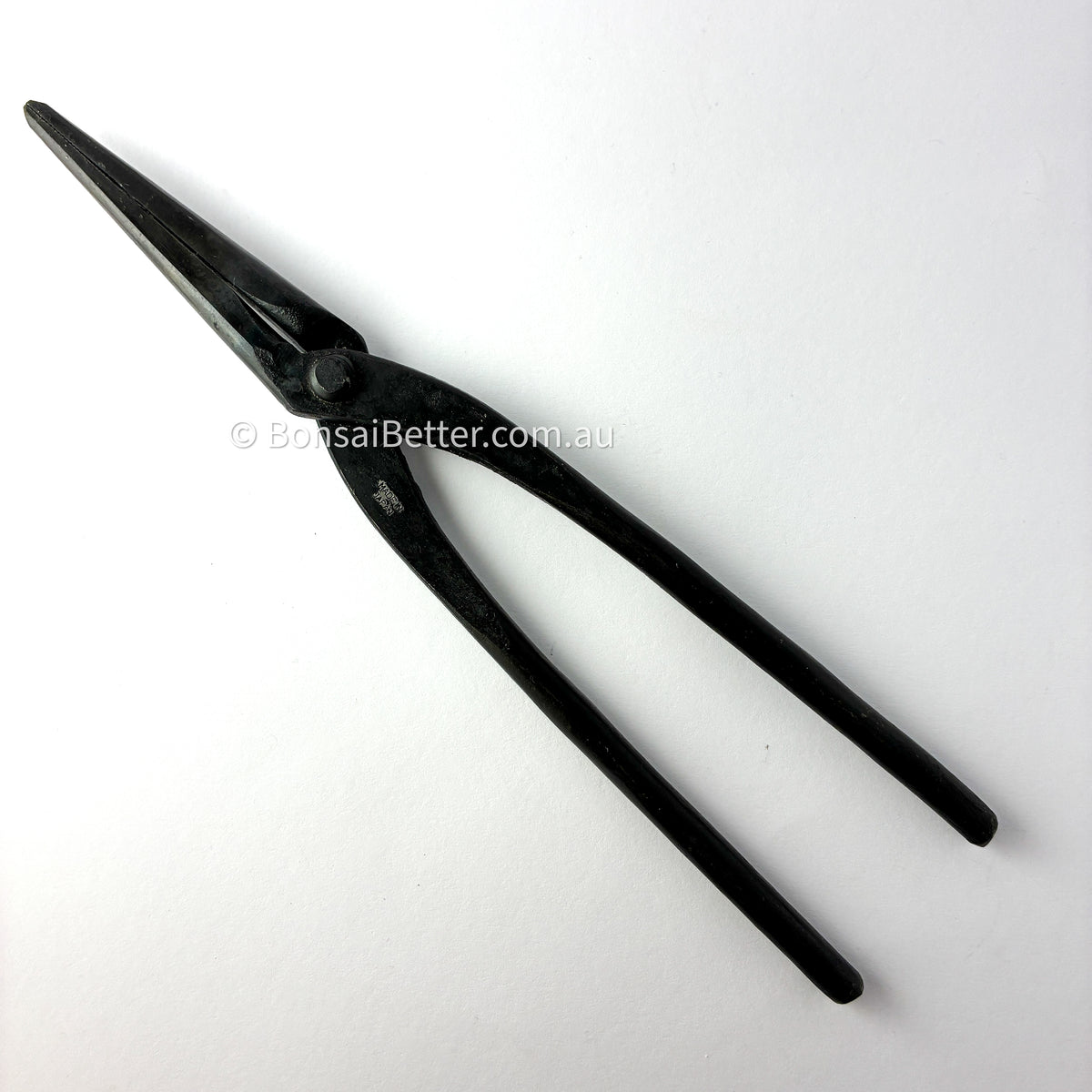 Japanese Bonsai Tapered Pliers – Carbon Steel | Bonsai Better