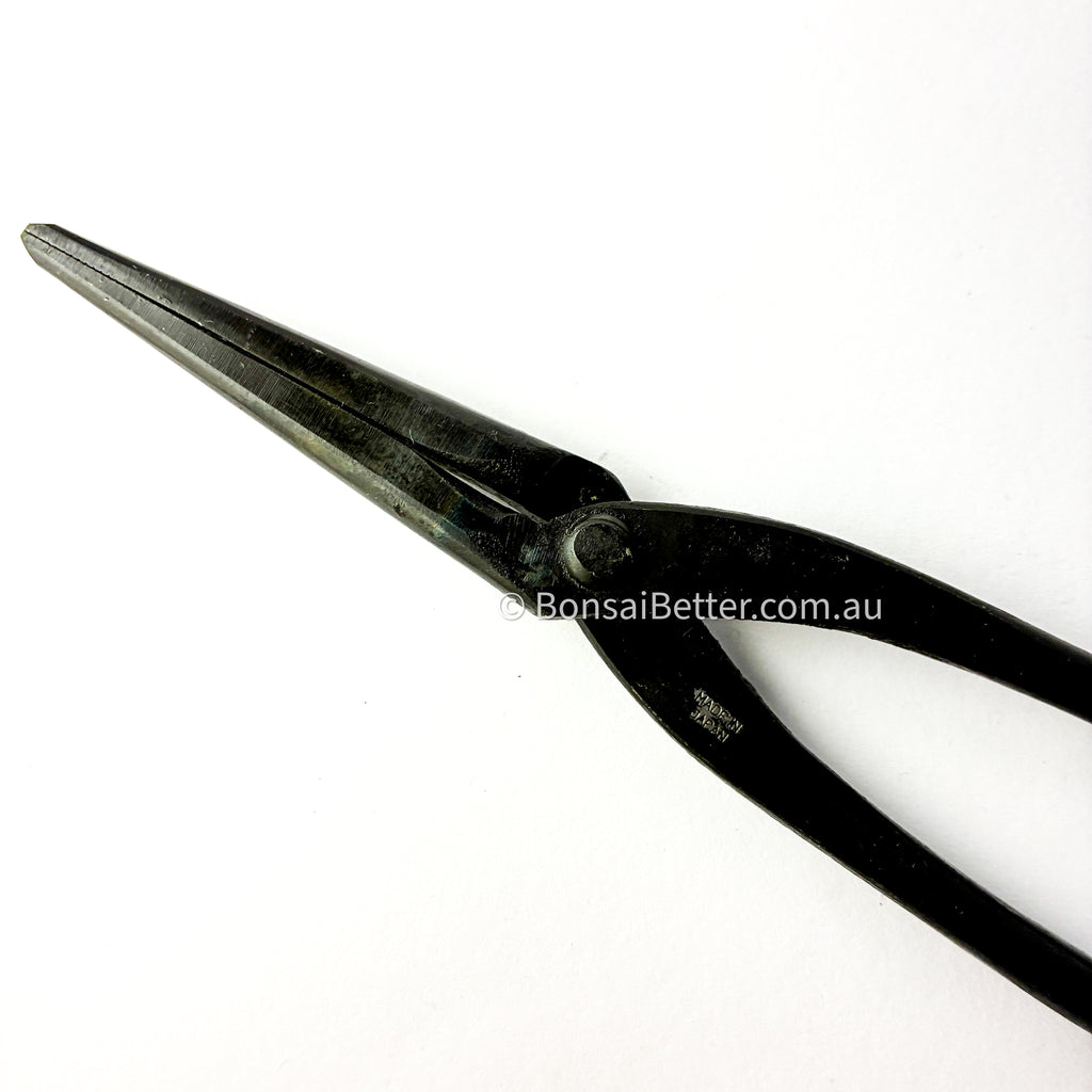 Japanese Bonsai Tapered Pliers CarbonSteel Tip | Bonsai Better