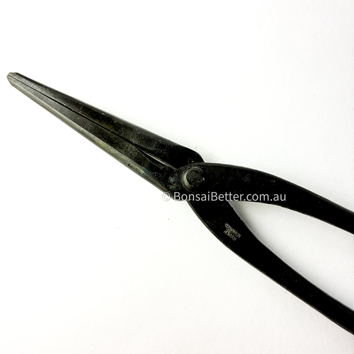Japanese Bonsai Tapered Pliers CarbonSteel Tip | Bonsai Better