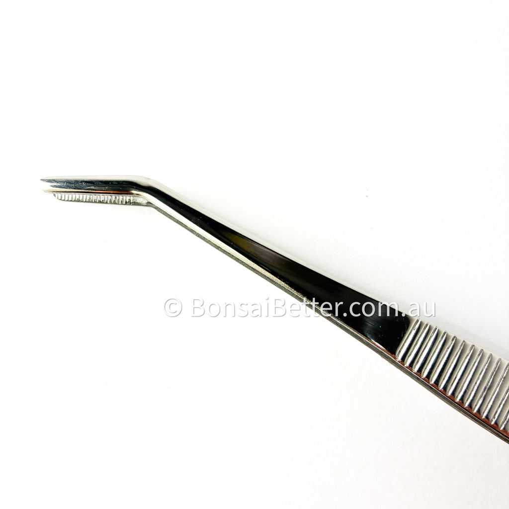 Japanese Stainless Steel Bonsai Tweezers  Tip
