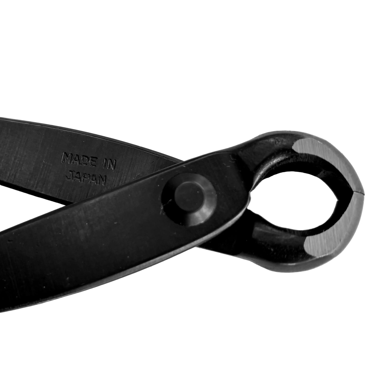 Kikuwa1 50mm Bonsai Knob Cutters | Bonsai Better