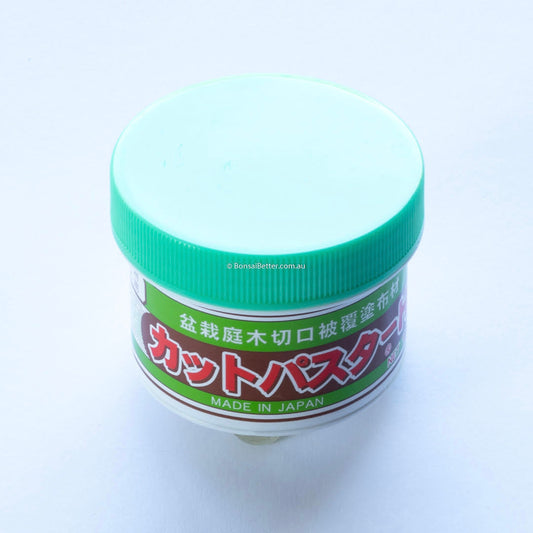Kikuwa Bonsai Cut Paste Evergreen 190g 