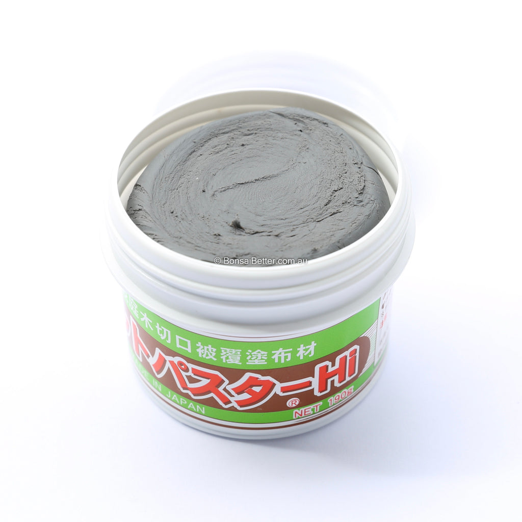 Kikuwa Bonsai Cut Putty Deciduous