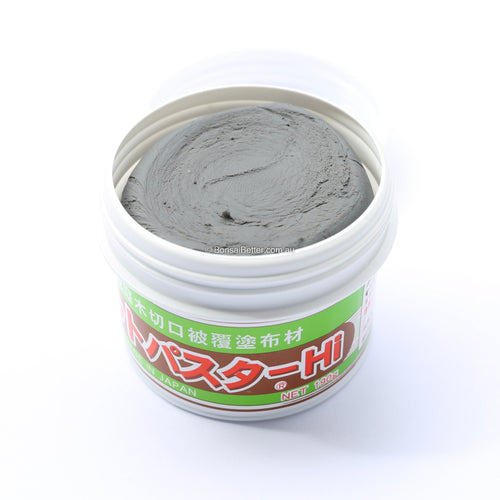 Kikuwa Bonsai Cut Putty Deciduous