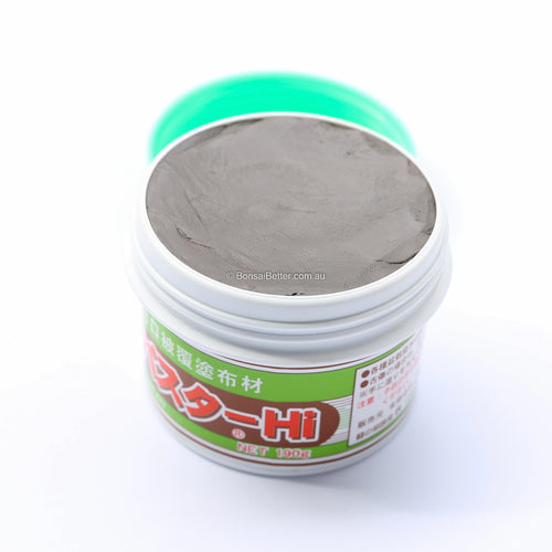 Kikuwa Bonsai Cut Putty Evergreen