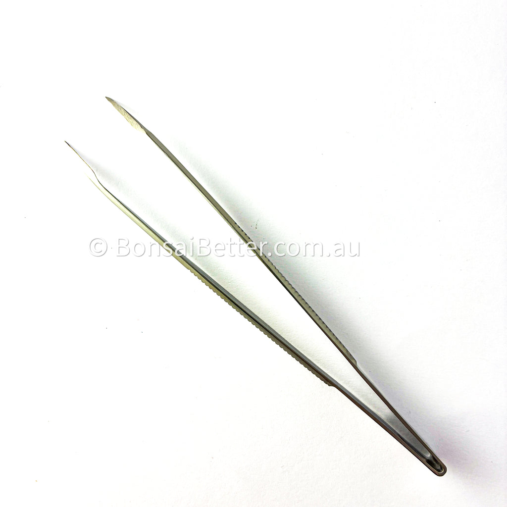 Masakuni Bonsai Edge Tweezers 155mm