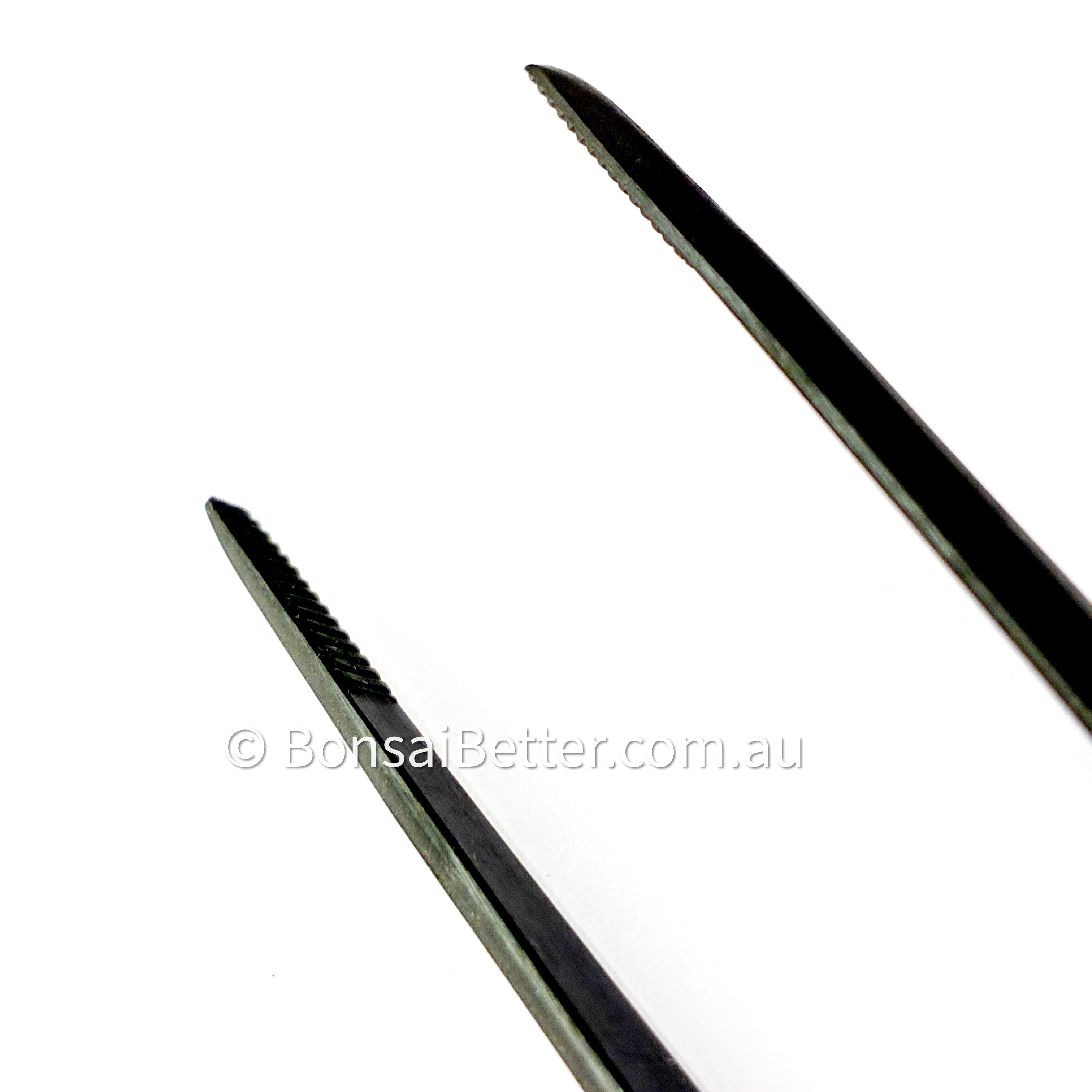 Masakuni Pine Tweezers close up of tips