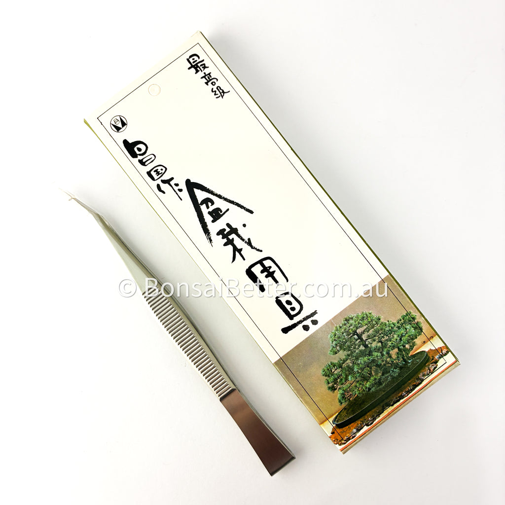 Masakuni Bonsai Edge Tweezers | Bonsai Better