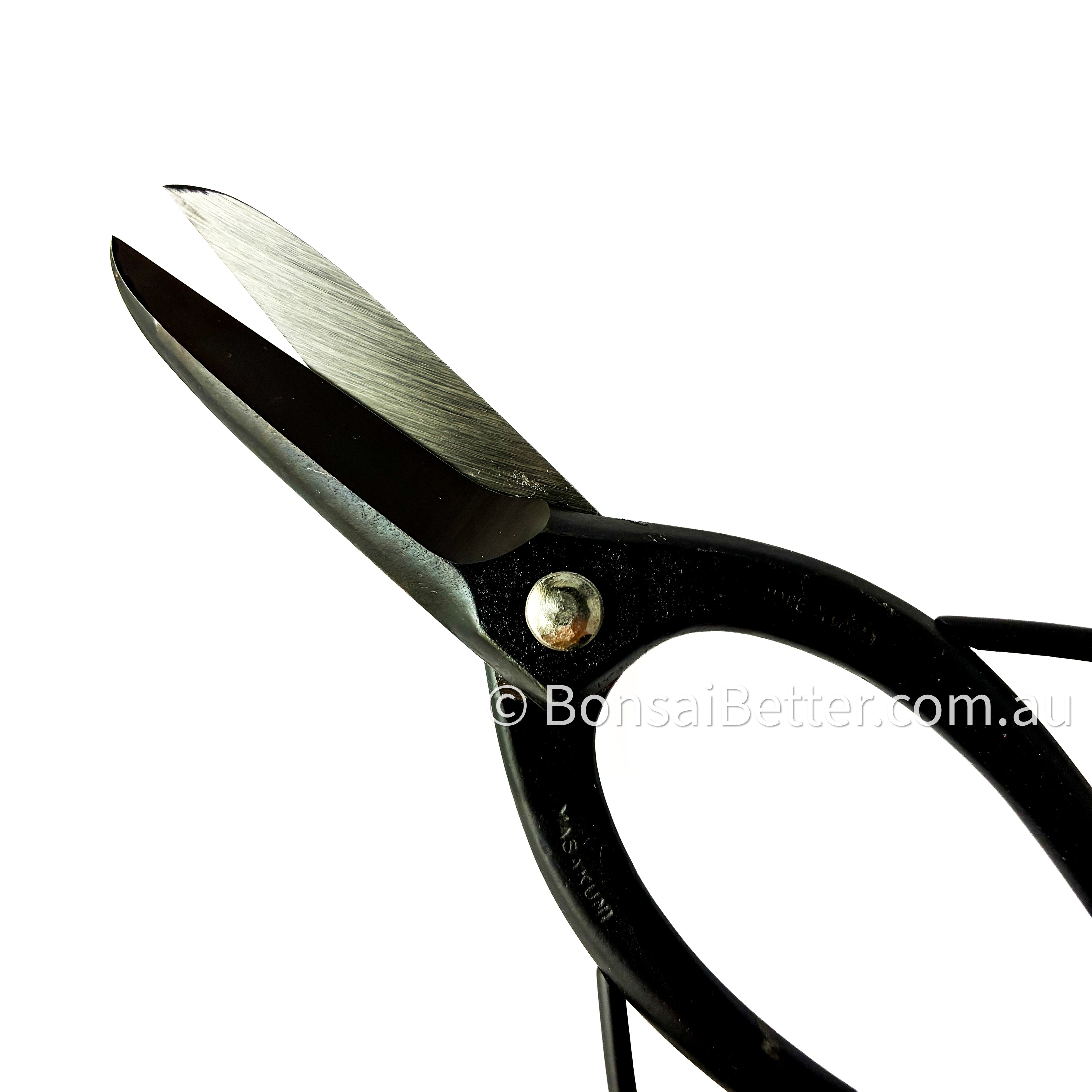 Masakuni Bonsai Trimming Shears No.1  Blade