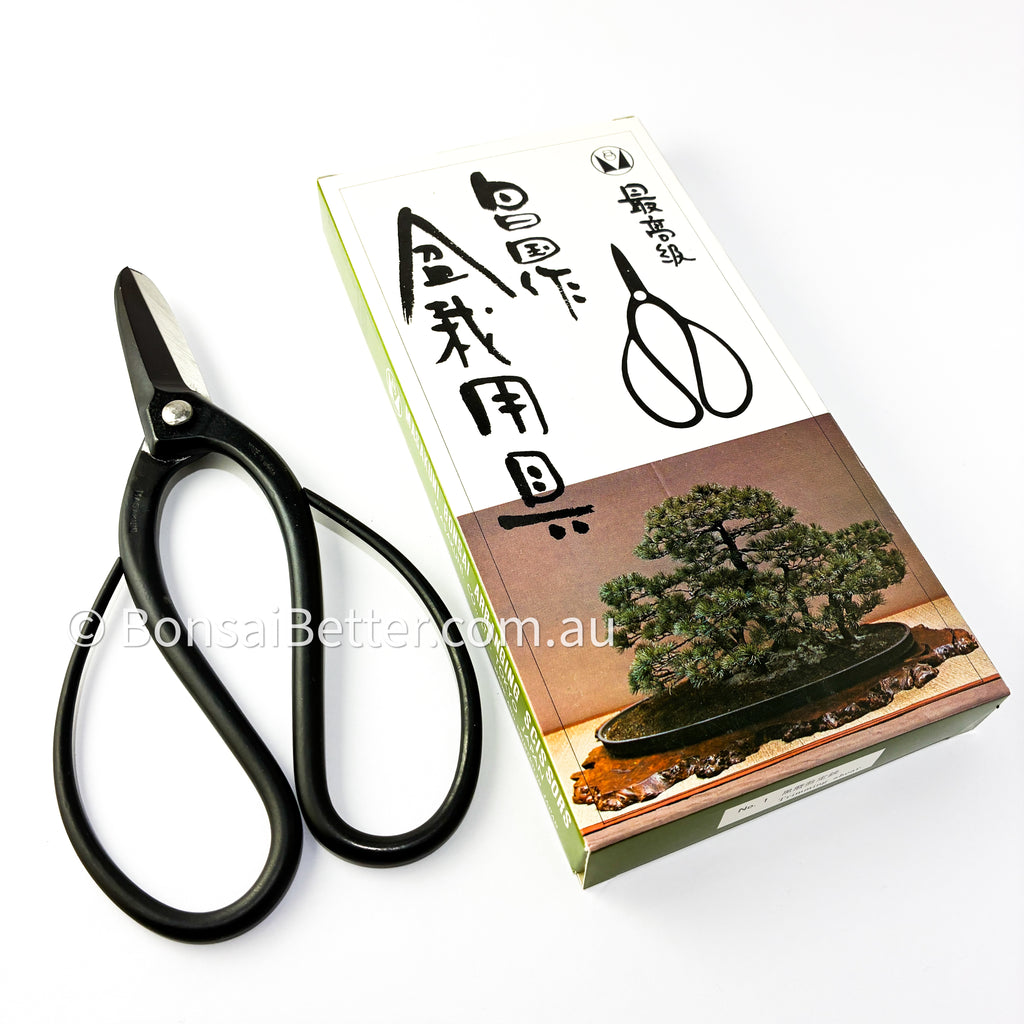 Masakuni Japanese Bonsai Trimming Shears No.1