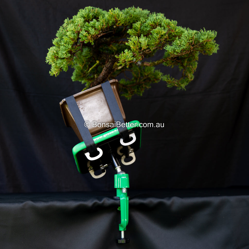 Green-T Mini Professional Shohin Bonsai Turntable (Vise Model) – Bonsai  Better