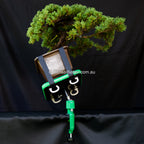 Professional Bonsai Turntable