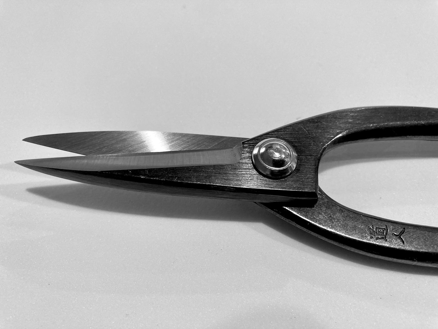 Kikuwa Carbon Steel Bonsai Scissors 200mm | Bonsai Better
