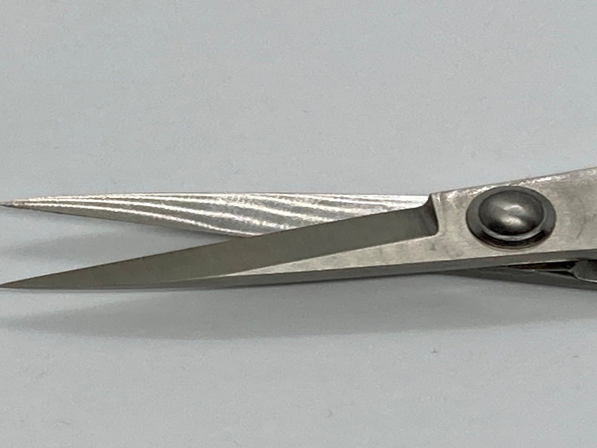 Ryuga Bonsai Stainless Steel Scissors | Bonsai Better