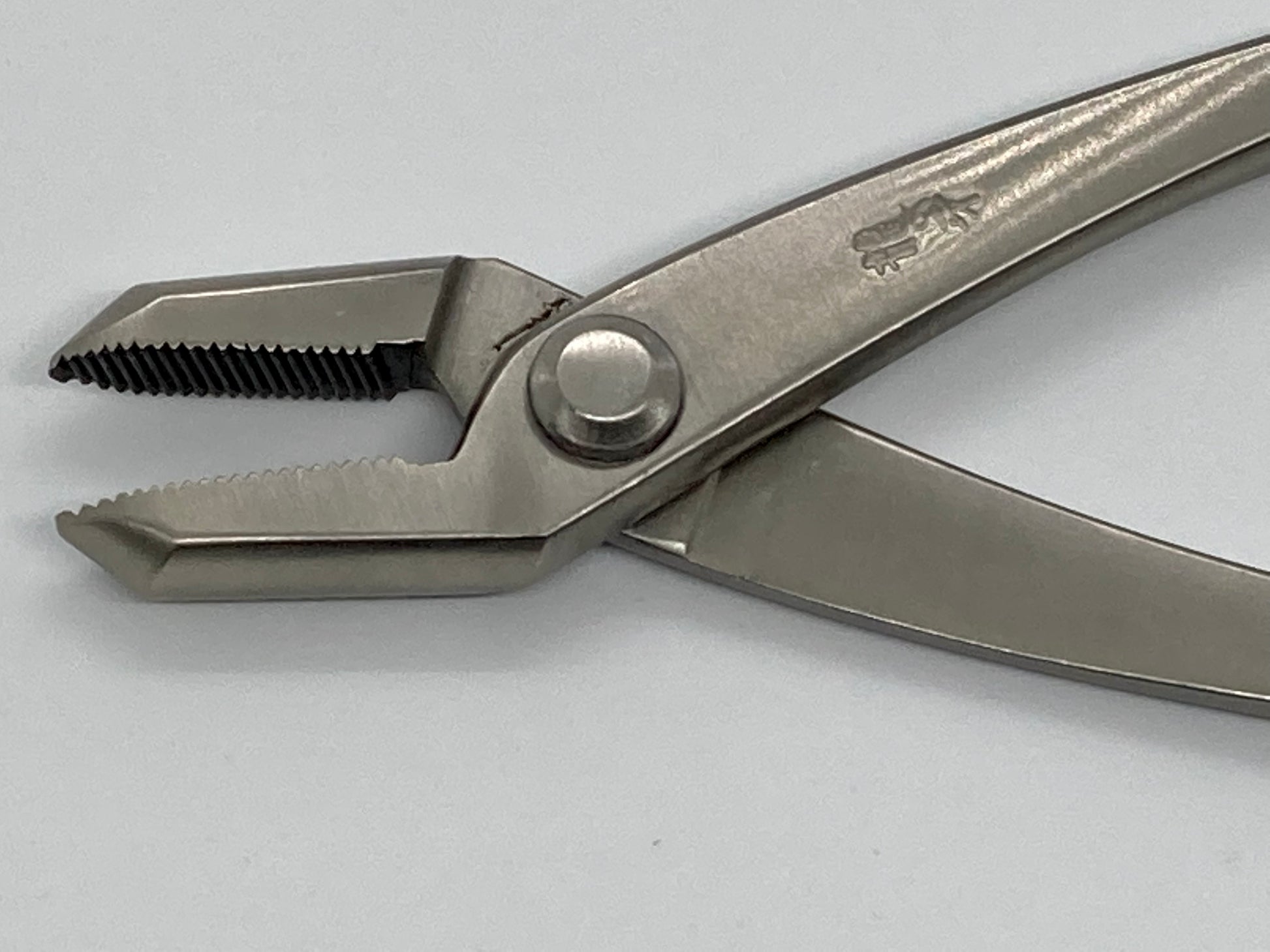 Stainless Steel Bonsai Jin Pliers 208mm | Bonsai Better