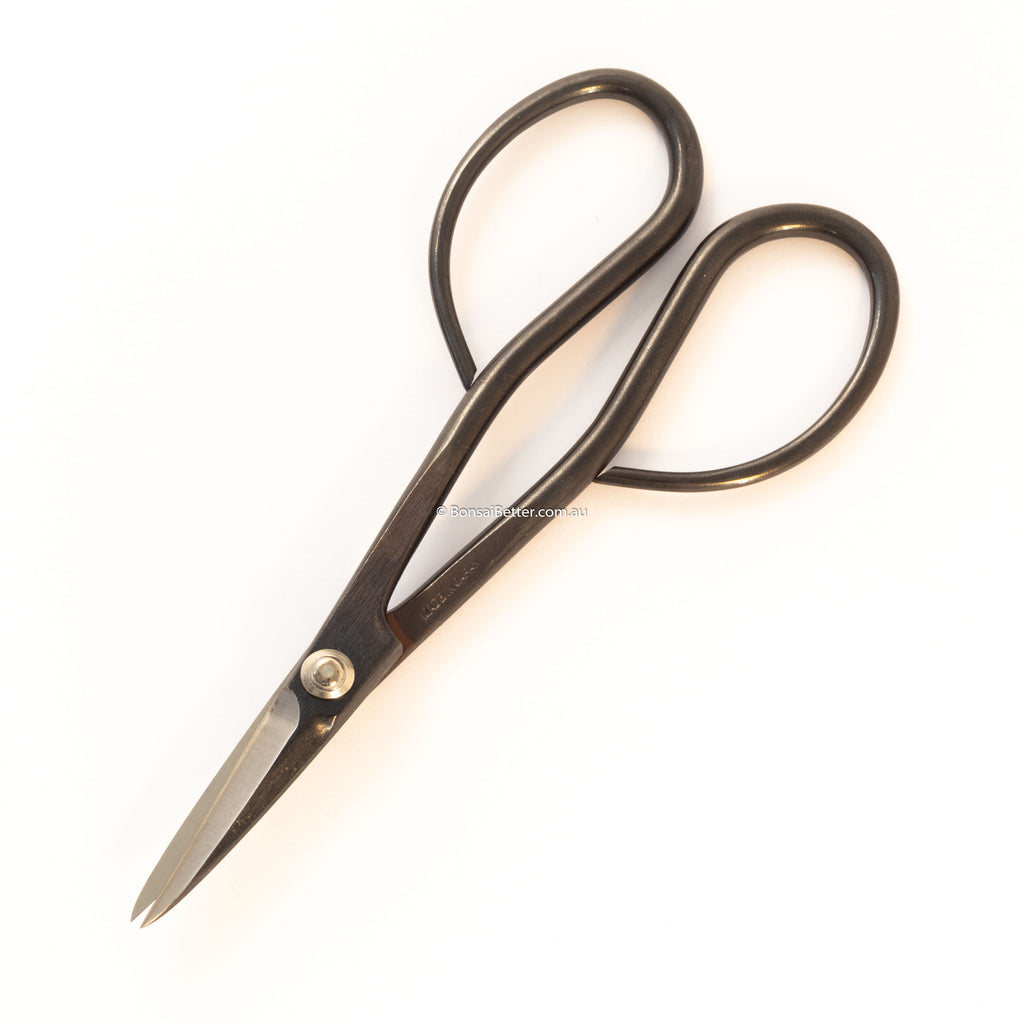 Kikuwa Japanese Bonsai Scissors | Bonsai Better