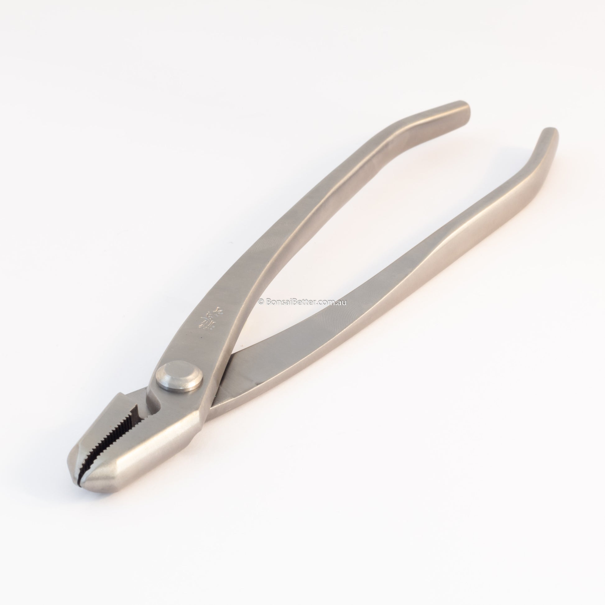 Ryuga Stainless Steel Jin Pliers 208mm | Bonsai Better