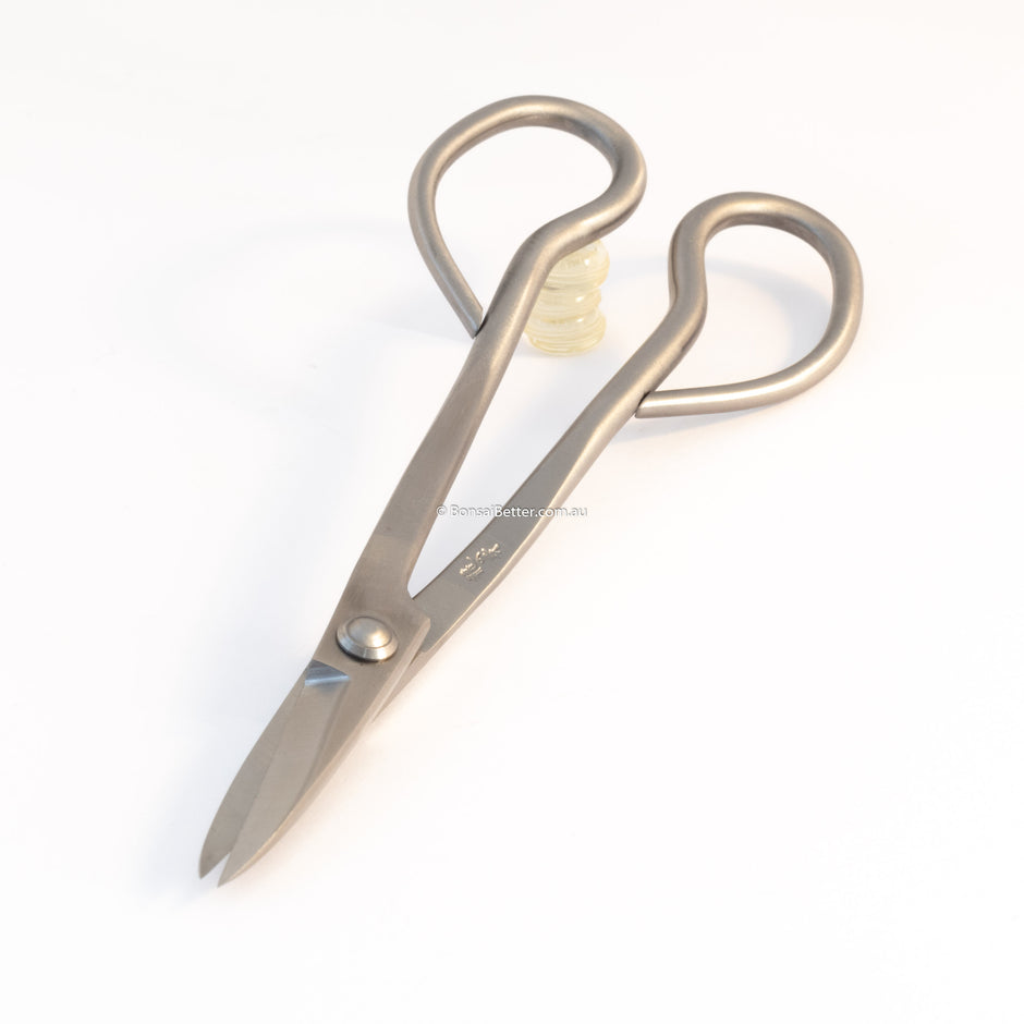 Professional Bonsai Tools Stainless or Carbon Steel Kikuwa & Ryuga Bonsai Better